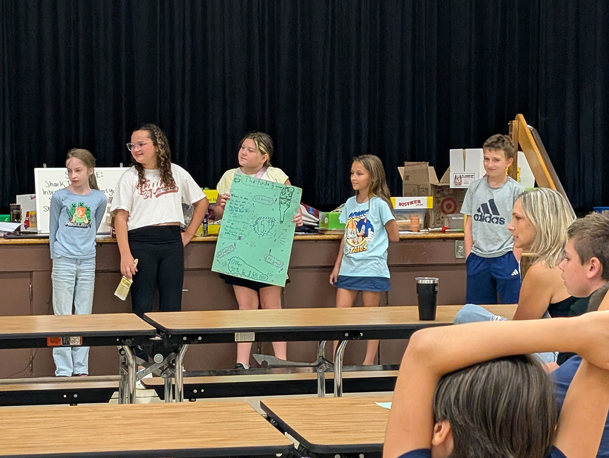 Metamorphosis Summer Project EEF